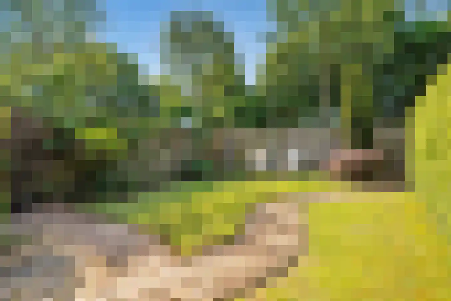 Patrijsstraat 103 Neede thumbnail 38