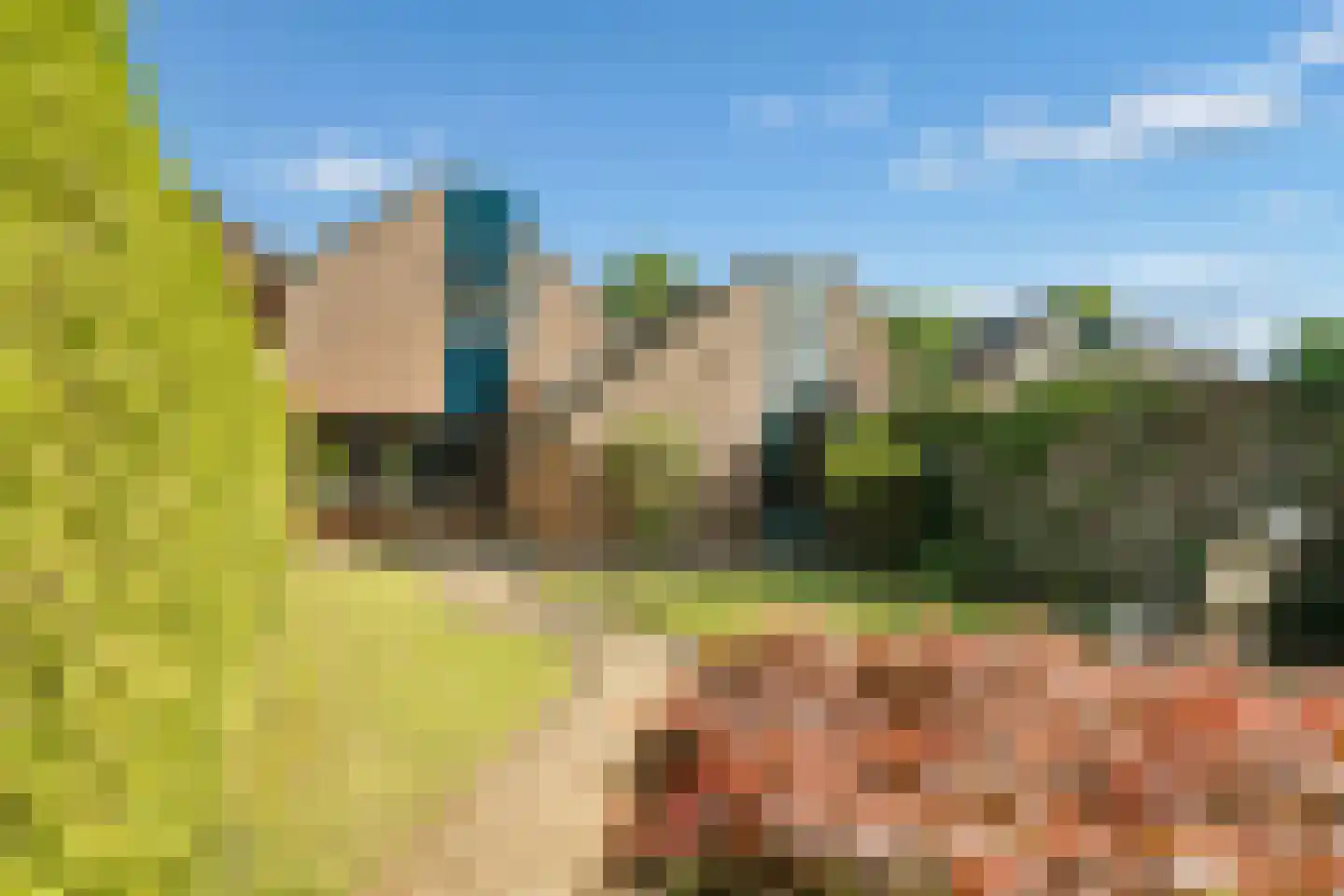 Patrijsstraat 103 Neede thumbnail 4