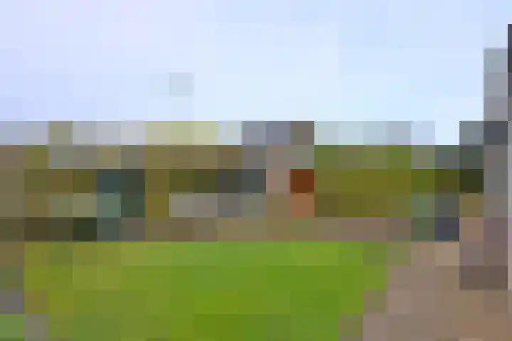 Patrijsstraat 105 Brummen thumbnail 51