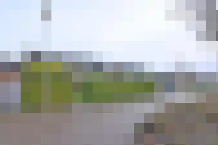Patrijsstraat 105 Brummen thumbnail 57