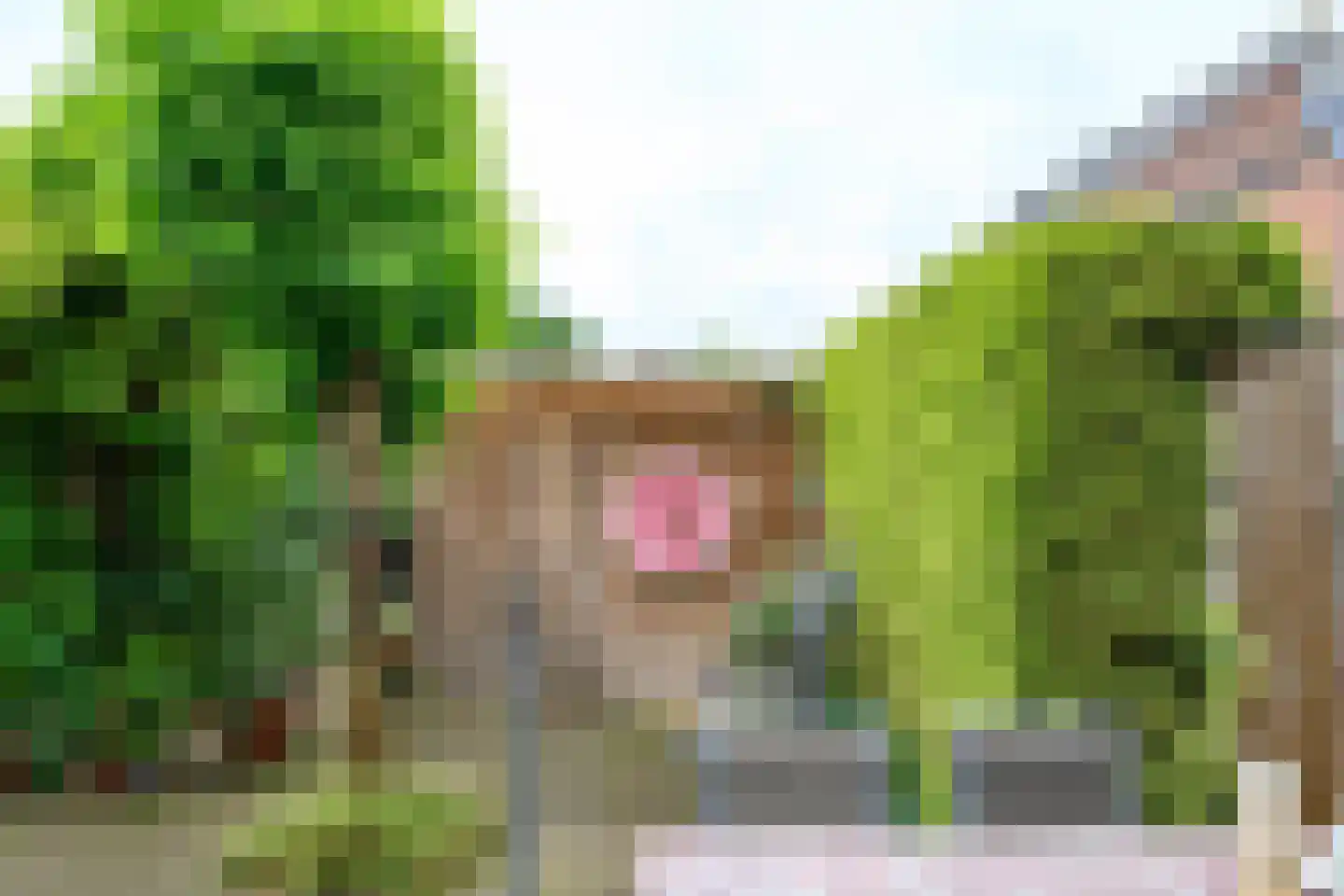 Patrijsstraat 107 Brummen thumbnail 17