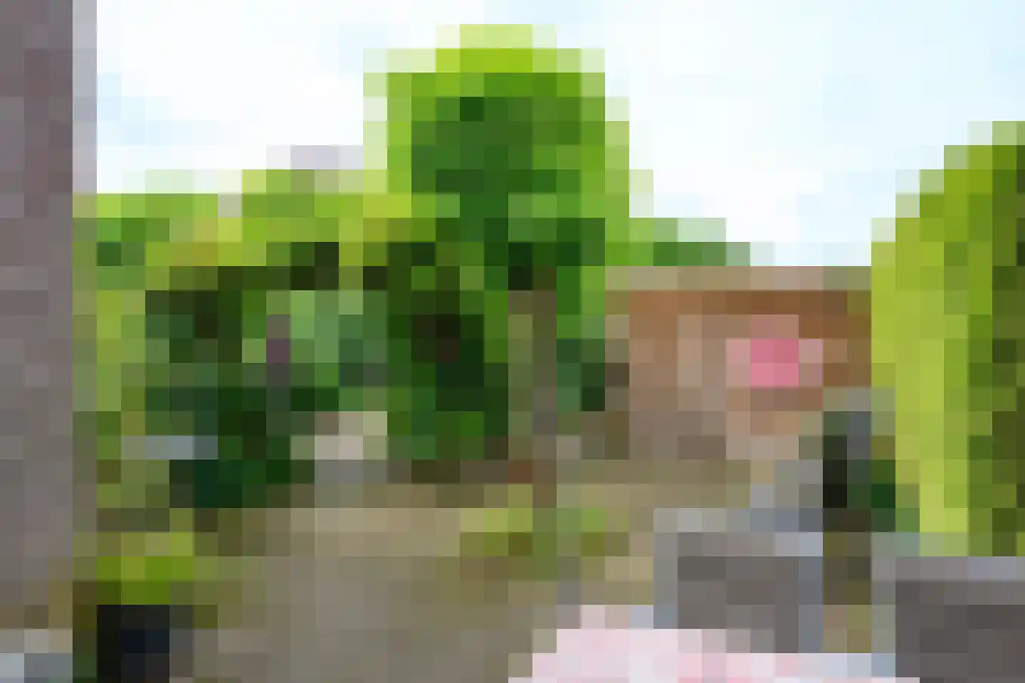 Patrijsstraat 107 Brummen thumbnail 18