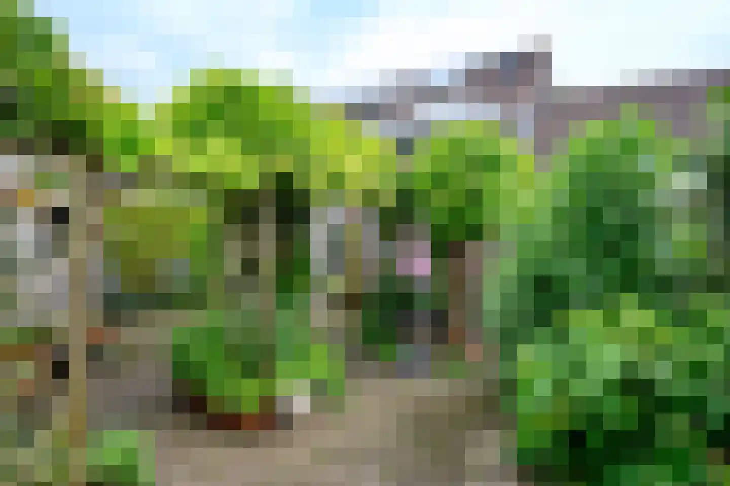 Patrijsstraat 107 Brummen thumbnail 21