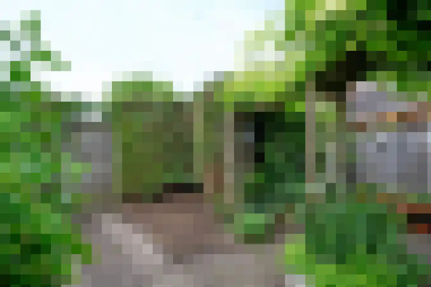 Patrijsstraat 107 Brummen thumbnail 23