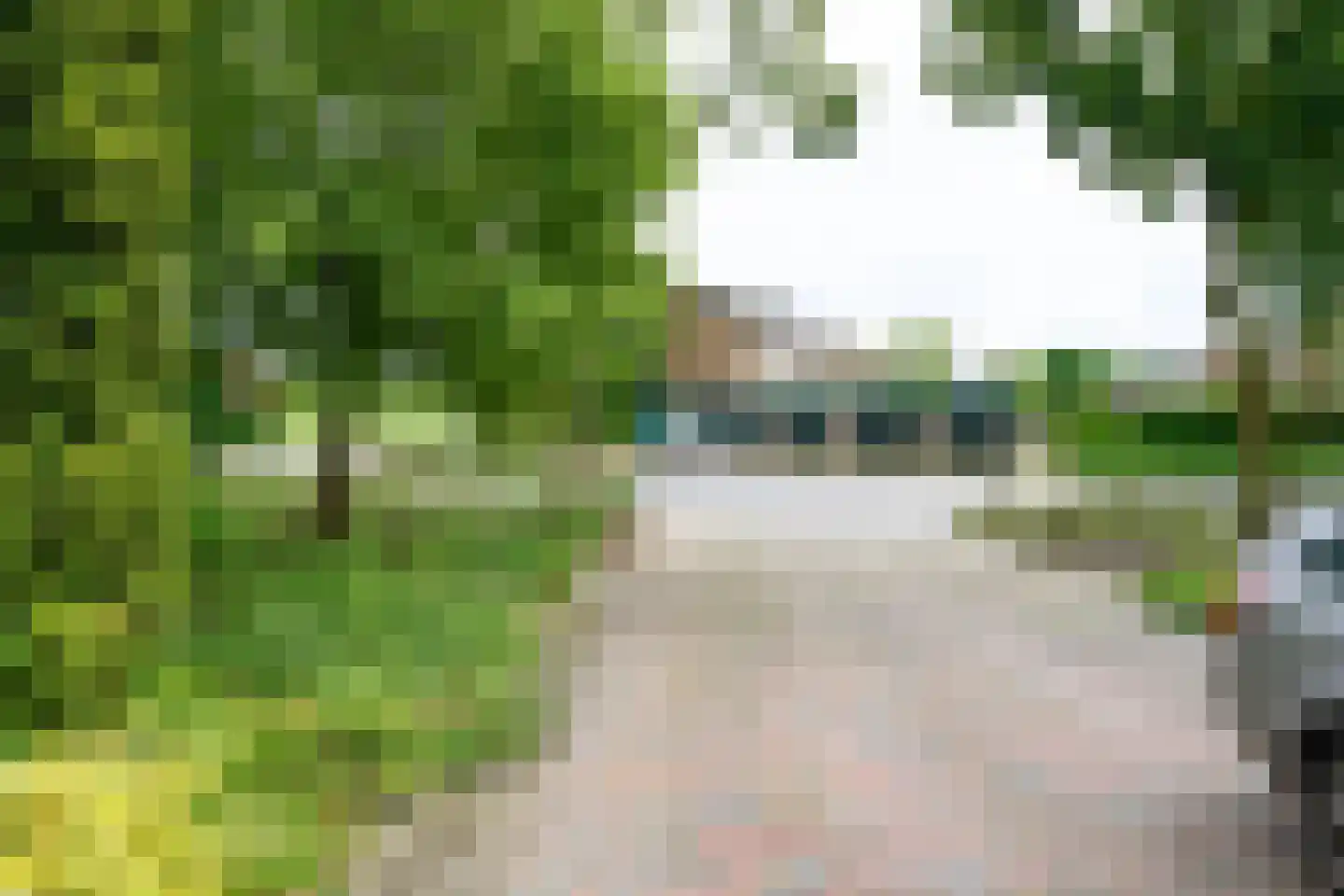 Patrijsstraat 107 Brummen thumbnail 26