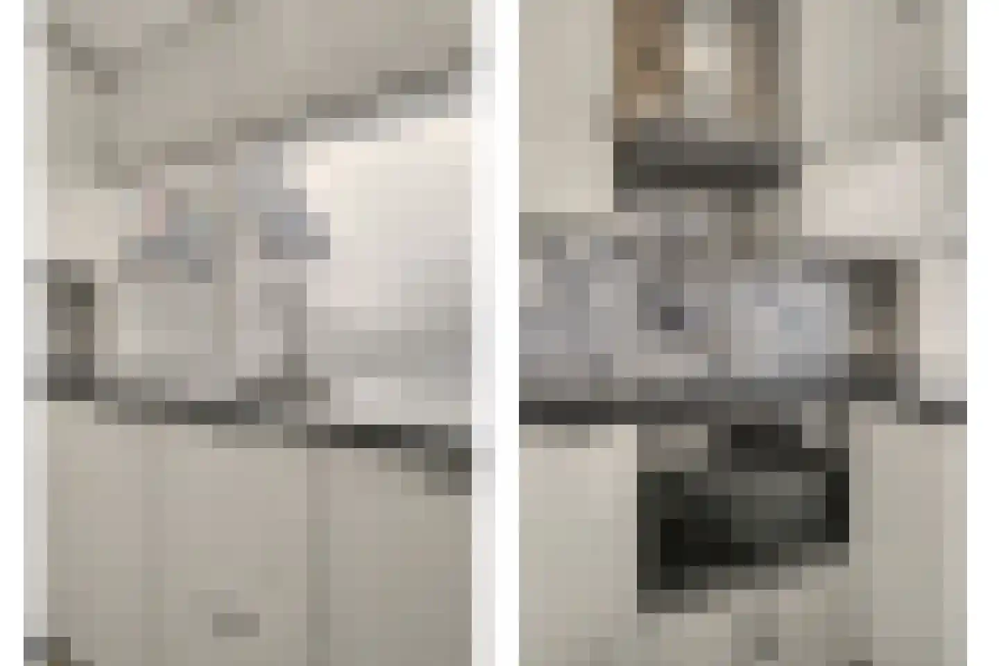 Patrijsstraat 11 Papendrecht thumbnail 11