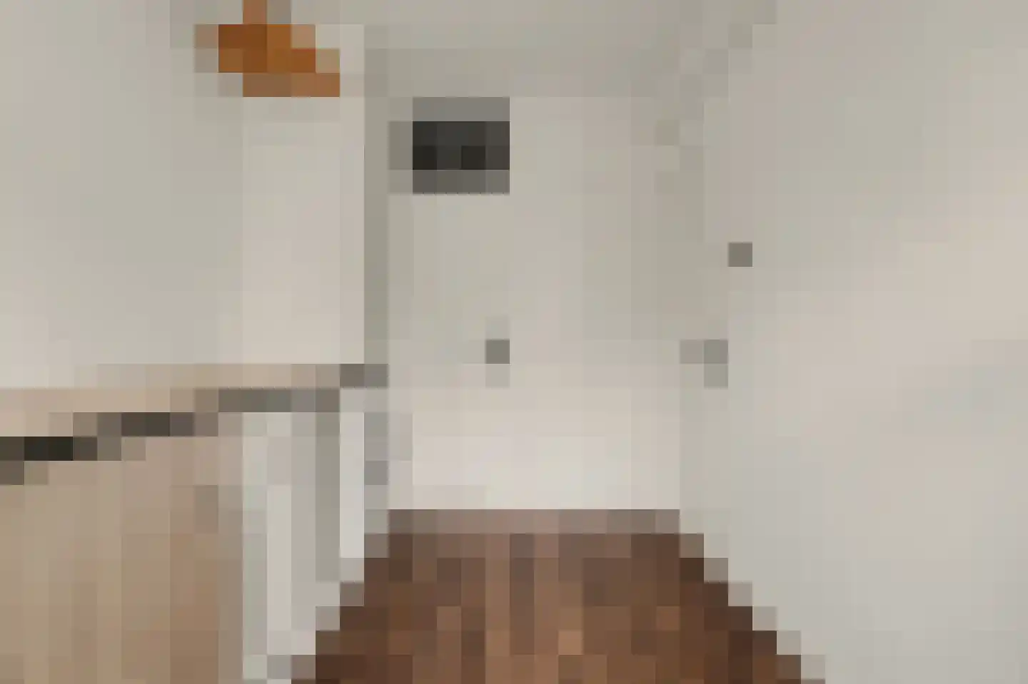 Patrijsstraat 11 Papendrecht thumbnail 16