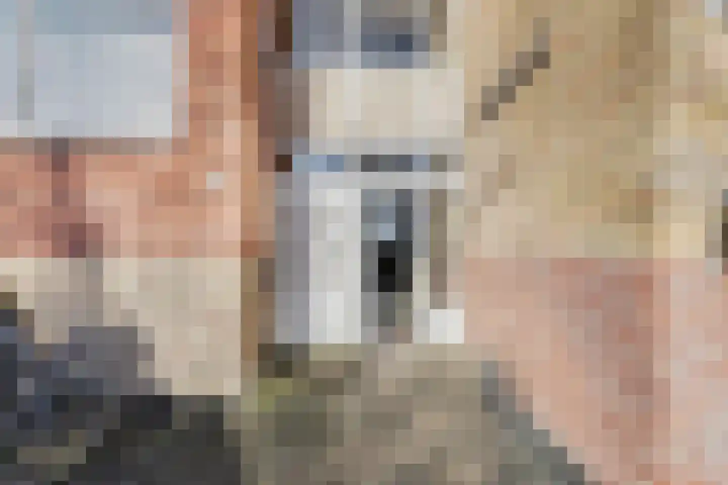 Patrijsstraat 11 Papendrecht thumbnail 22