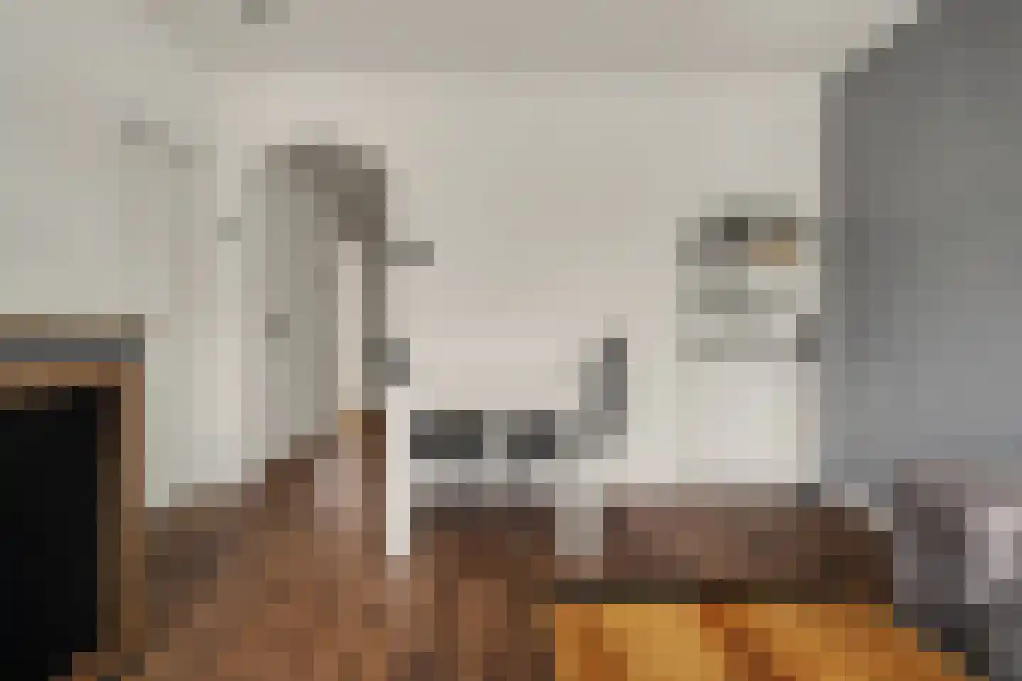 Patrijsstraat 11 Papendrecht thumbnail 7