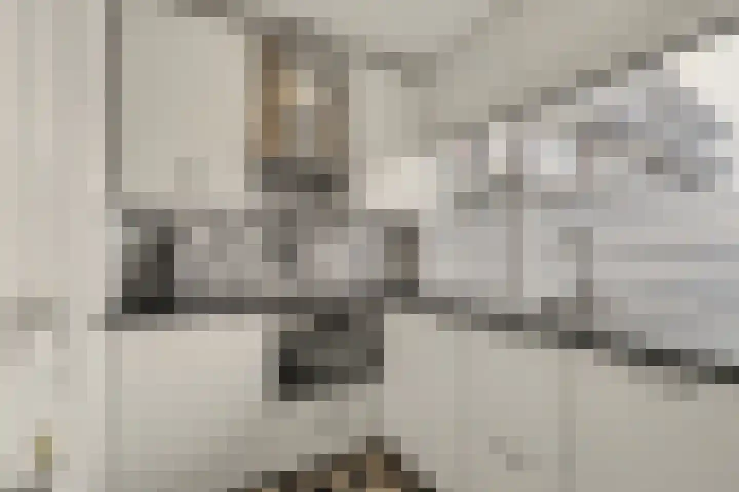 Patrijsstraat 11 Papendrecht thumbnail 8