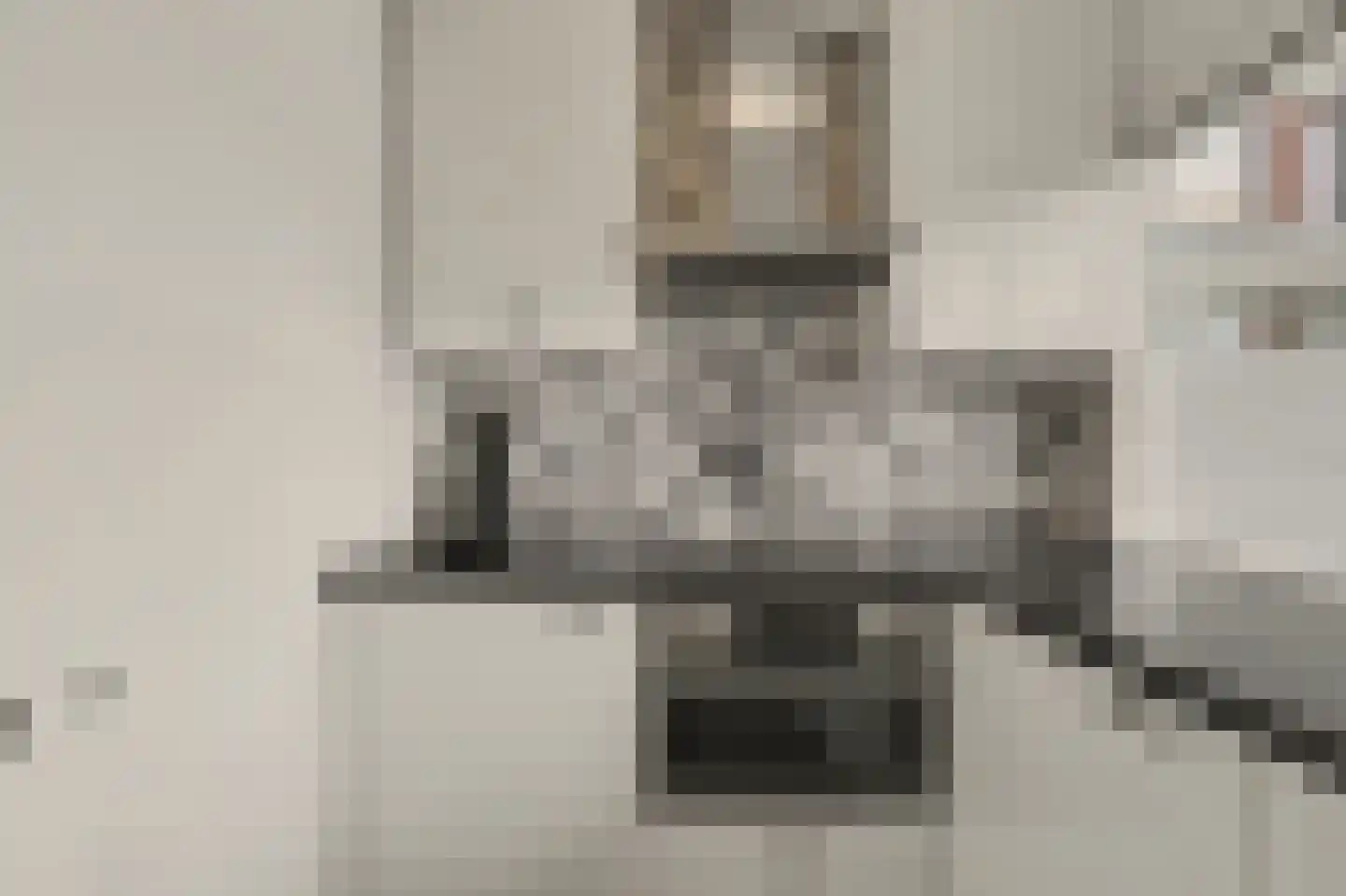 Patrijsstraat 11 Papendrecht thumbnail 9