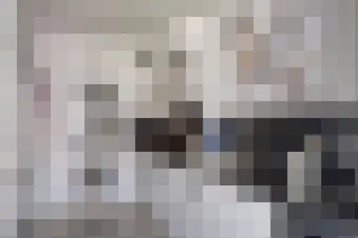 Patrijsstraat 12 Zundert thumbnail 11
