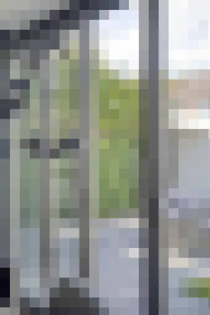 Patrijsstraat 12 Zundert thumbnail 15