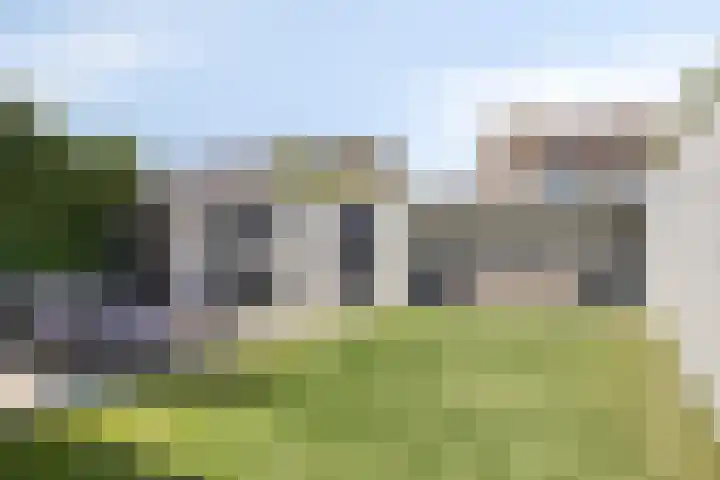 Patrijsstraat 12 Zundert thumbnail 29