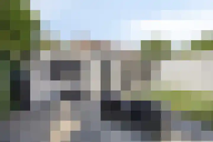 Patrijsstraat 12 Zundert thumbnail 30