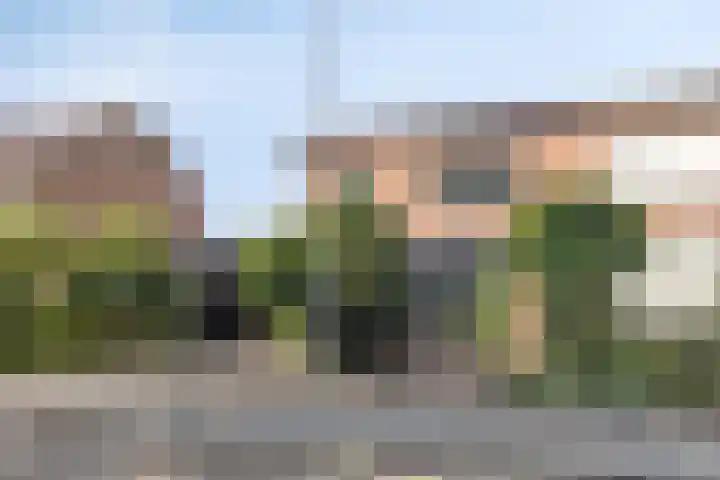 Patrijsstraat 12 Zundert thumbnail 33