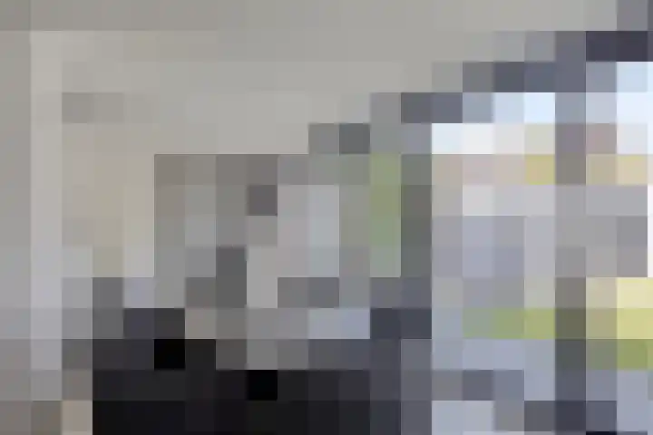 Patrijsstraat 12 Zundert thumbnail 4
