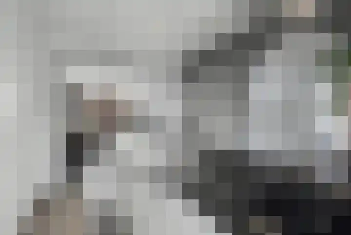 Patrijsstraat 13 Papendrecht thumbnail 7