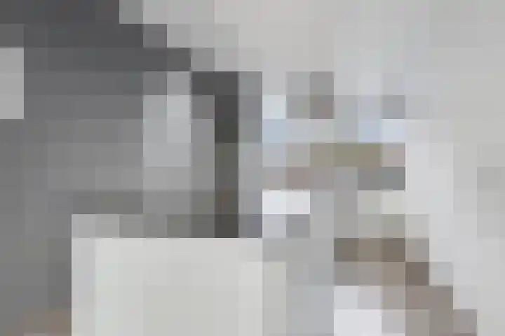 Patrijsstraat 13 Papendrecht thumbnail 8