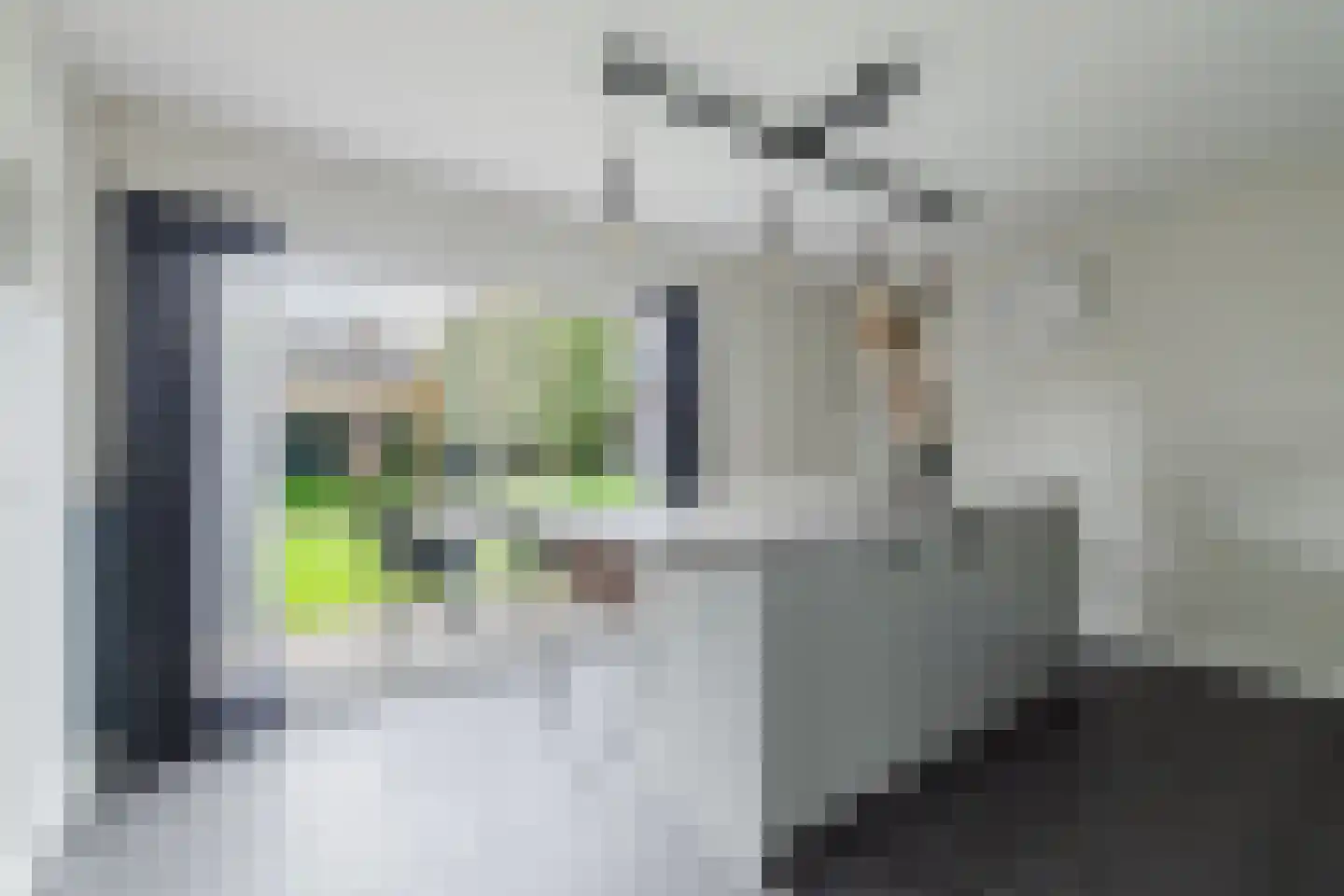 Patrijsstraat 13 Zundert thumbnail 20
