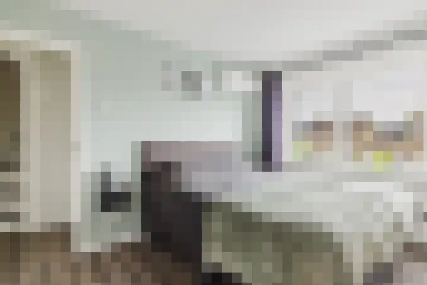 Patrijsstraat 13 Zundert thumbnail 24