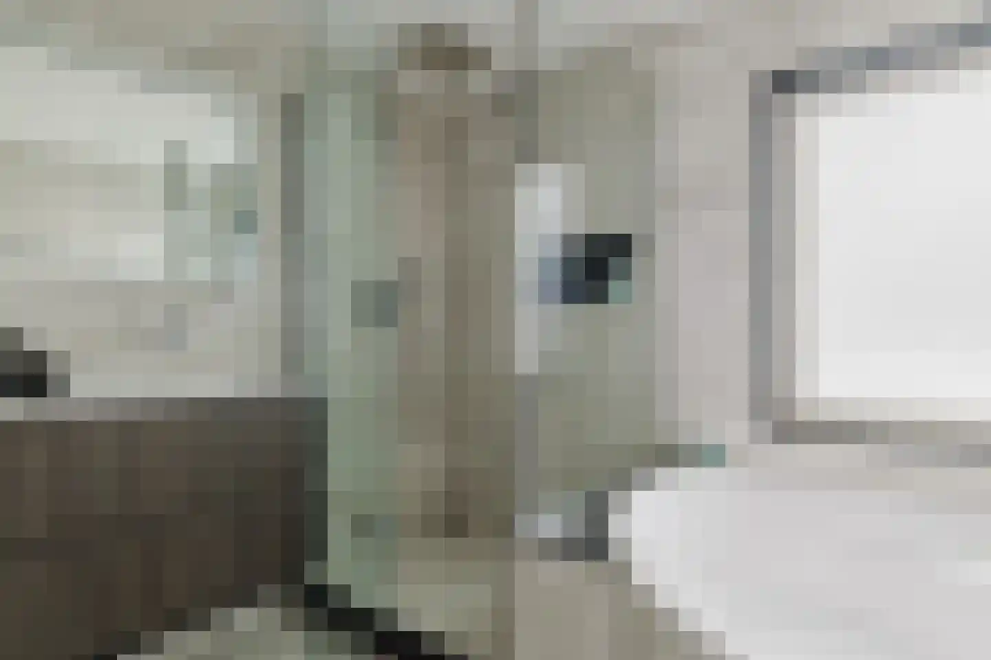 Patrijsstraat 13 Zundert thumbnail 32