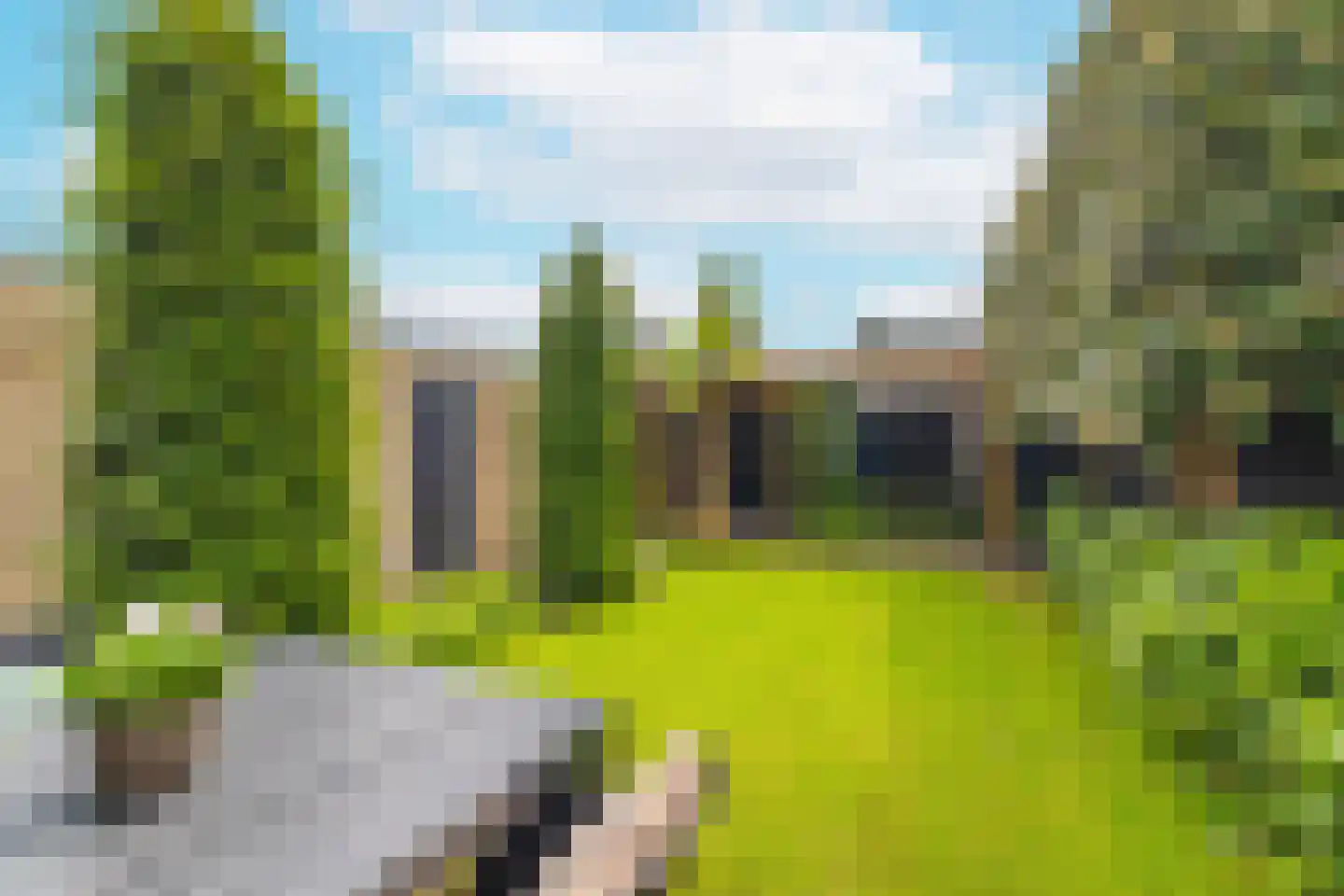 Patrijsstraat 13 Zundert thumbnail 38