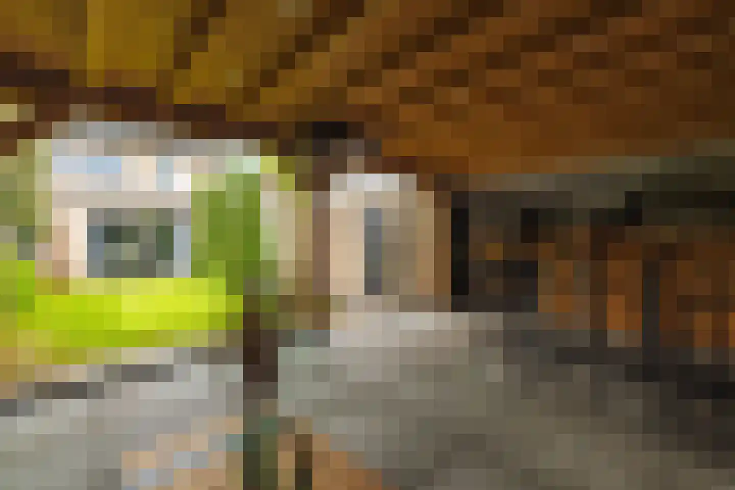 Patrijsstraat 13 Zundert thumbnail 44