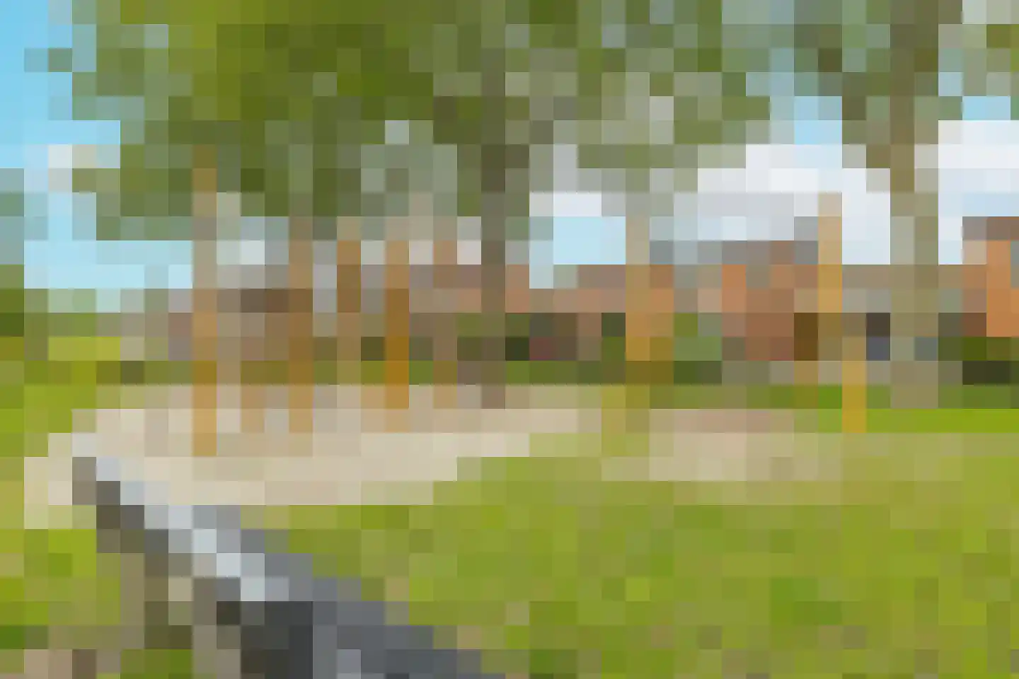 Patrijsstraat 13 Zundert thumbnail 47
