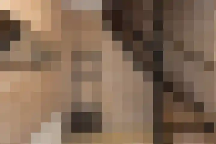 Patrijsstraat 17 Neede thumbnail 13