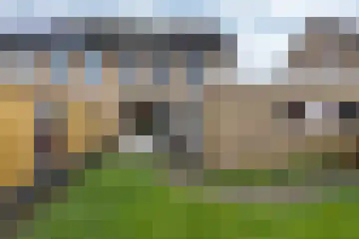 Patrijsstraat 17 Neede thumbnail 28