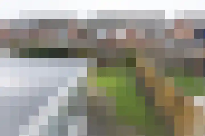 Patrijsstraat 17 Neede thumbnail 30