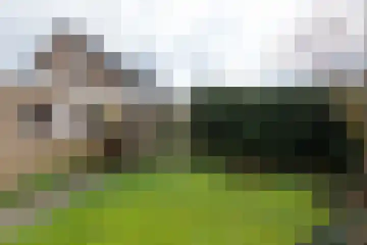 Patrijsstraat 17 Neede thumbnail 31