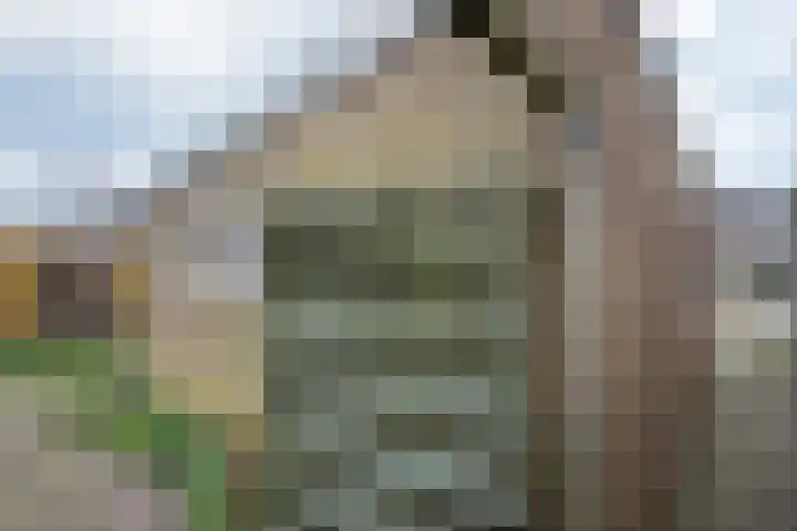 Patrijsstraat 17 Neede thumbnail 32