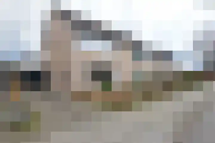 Patrijsstraat 17 Neede thumbnail 34