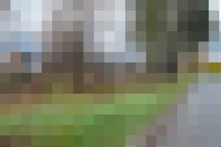 Patrijsstraat 17 Neede thumbnail 35