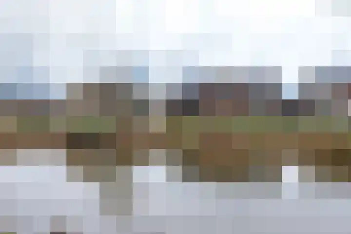 Patrijsstraat 17 Neede thumbnail 36