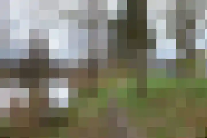 Patrijsstraat 17 Neede thumbnail 37