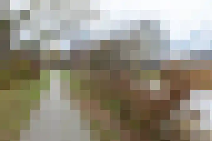 Patrijsstraat 17 Neede thumbnail 38