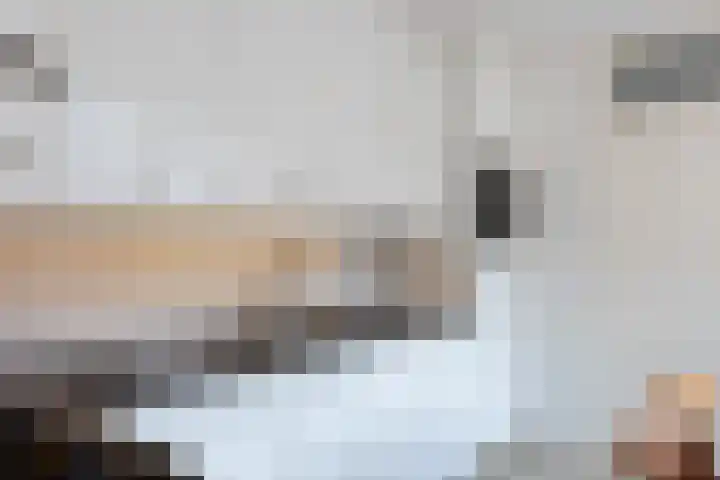 Patrijsstraat 17 Neede thumbnail 8