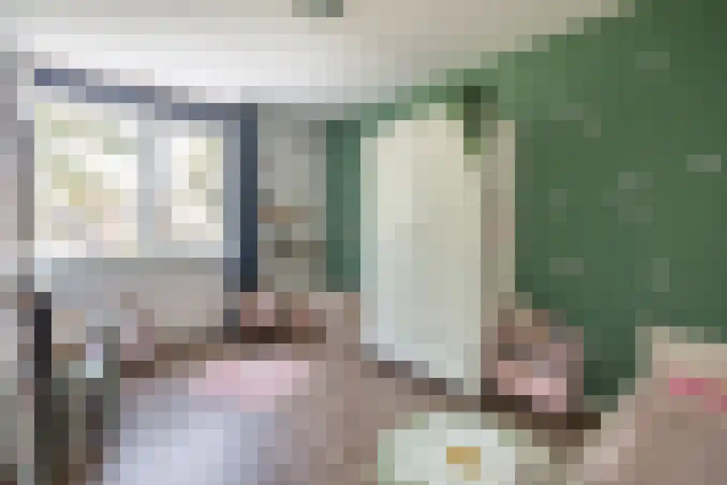 Patrijsstraat 18 Sommelsdijk thumbnail 16