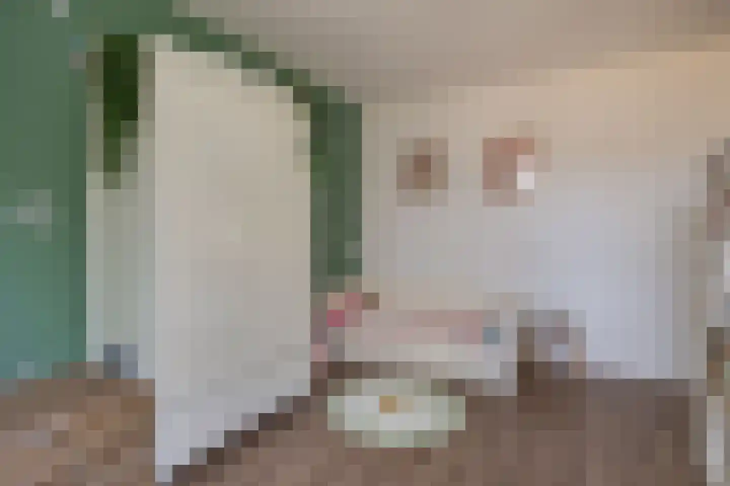 Patrijsstraat 18 Sommelsdijk thumbnail 17