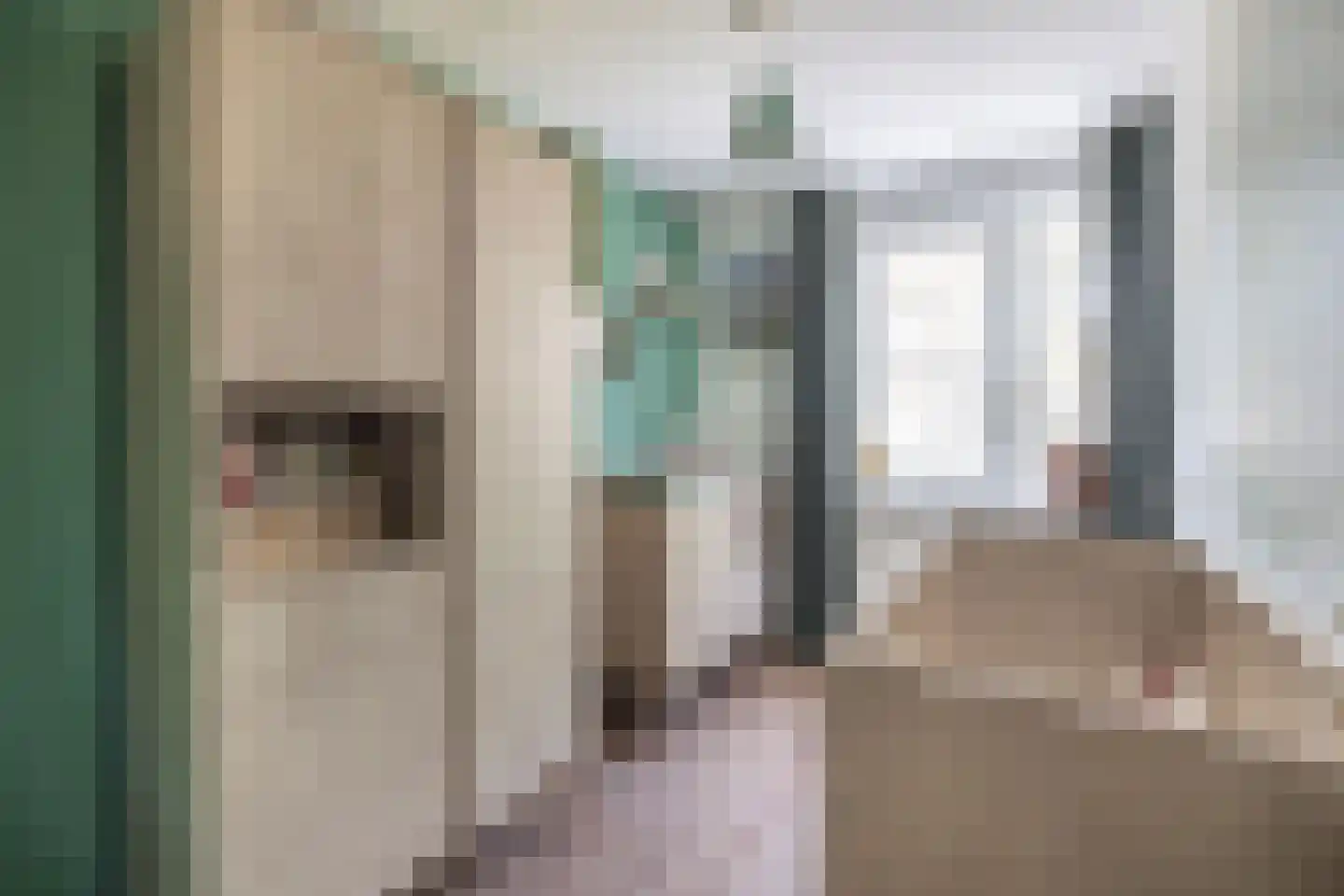 Patrijsstraat 18 Sommelsdijk thumbnail 18
