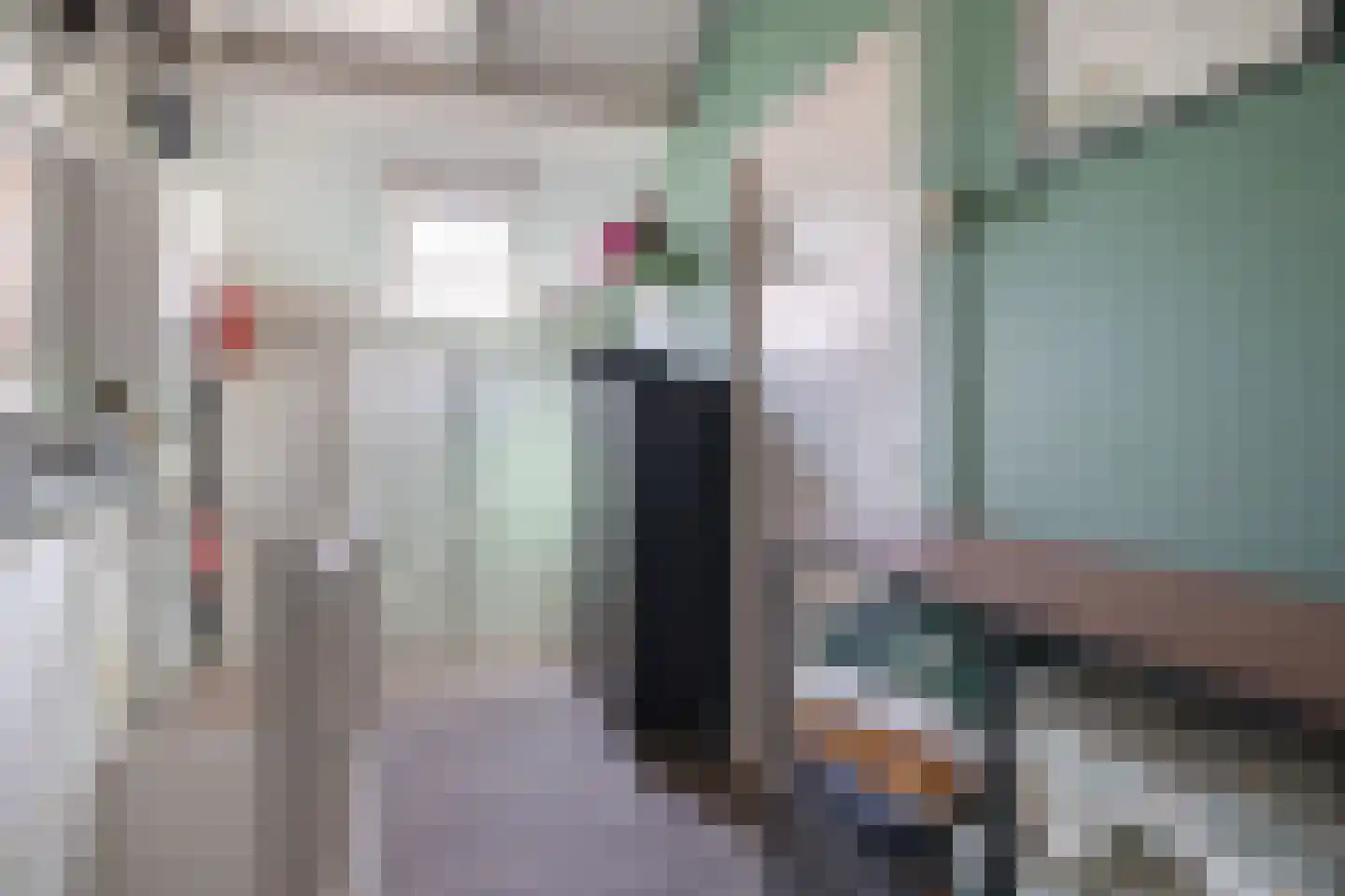 Patrijsstraat 18 Sommelsdijk thumbnail 21