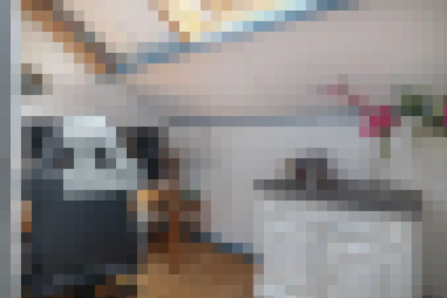 Patrijsstraat 18 Sommelsdijk thumbnail 22