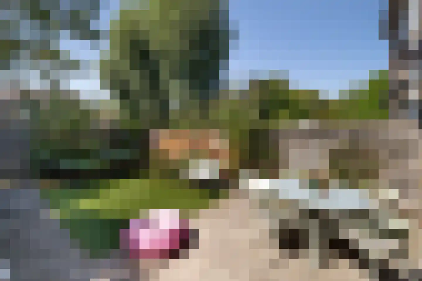 Patrijsstraat 18 Sommelsdijk thumbnail 23
