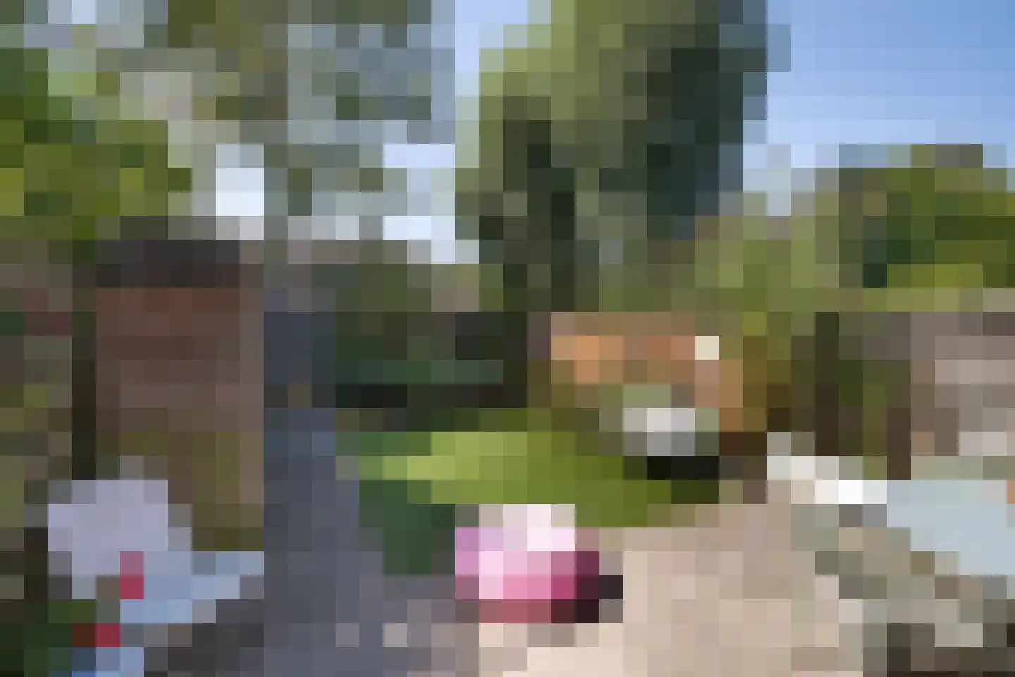 Patrijsstraat 18 Sommelsdijk thumbnail 24