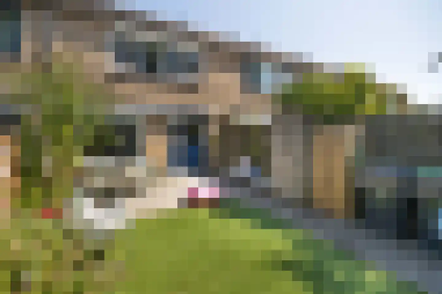 Patrijsstraat 18 Sommelsdijk thumbnail 25