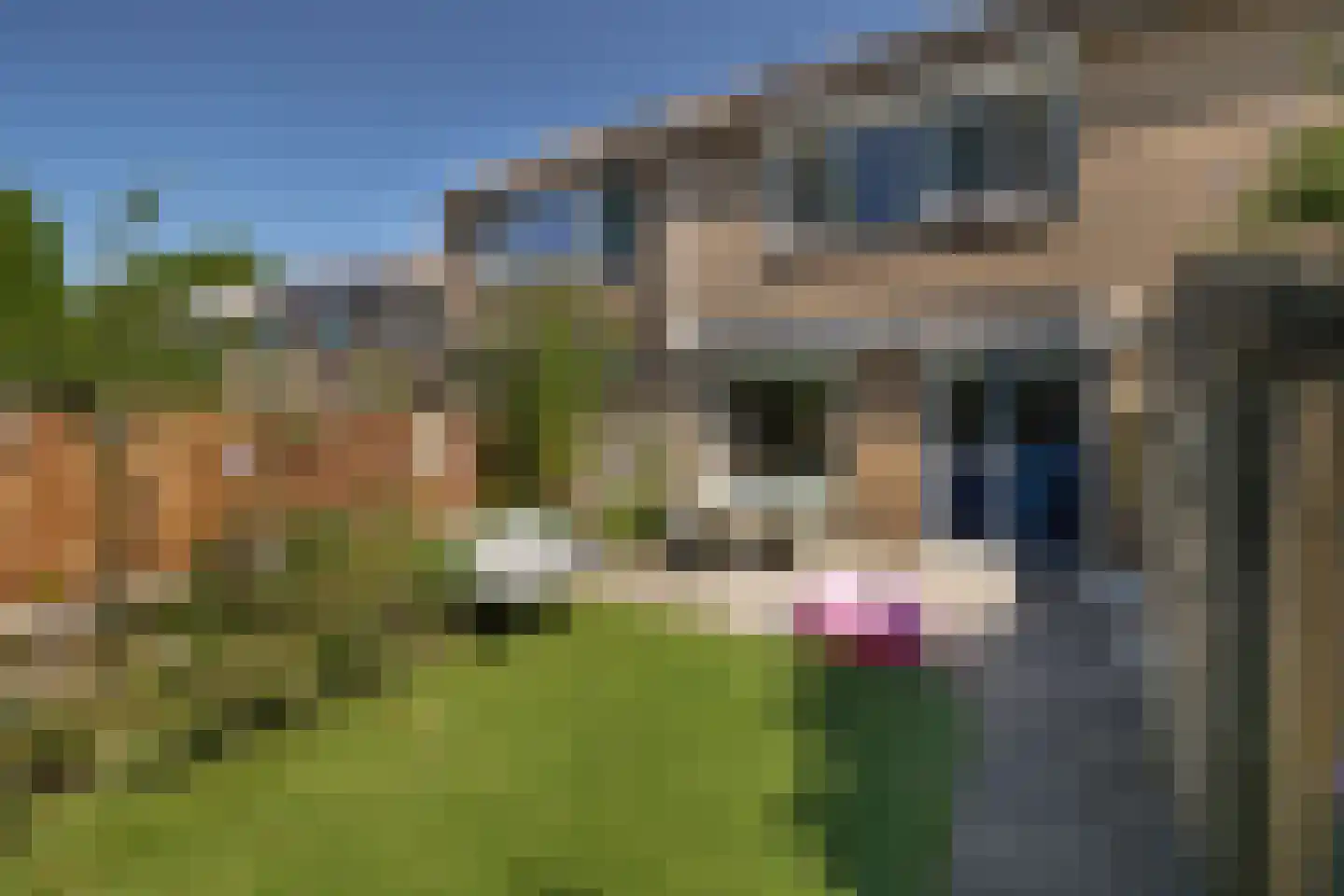 Patrijsstraat 18 Sommelsdijk thumbnail 26