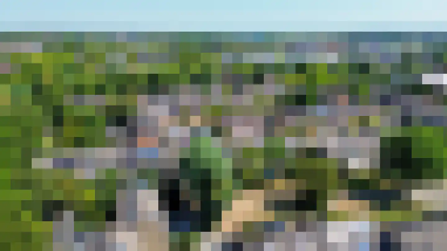 Patrijsstraat 18 Sommelsdijk thumbnail 30
